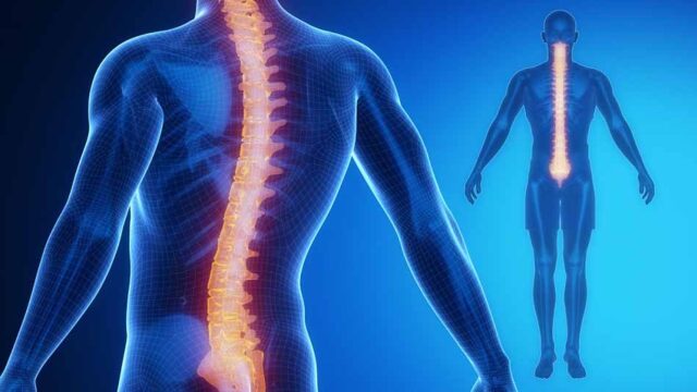 Spine Pain and Dizziness