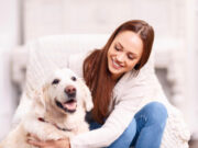 The Science Behind CBD Oil for Dogs: Can It Really Help With Anxiety and Pain?